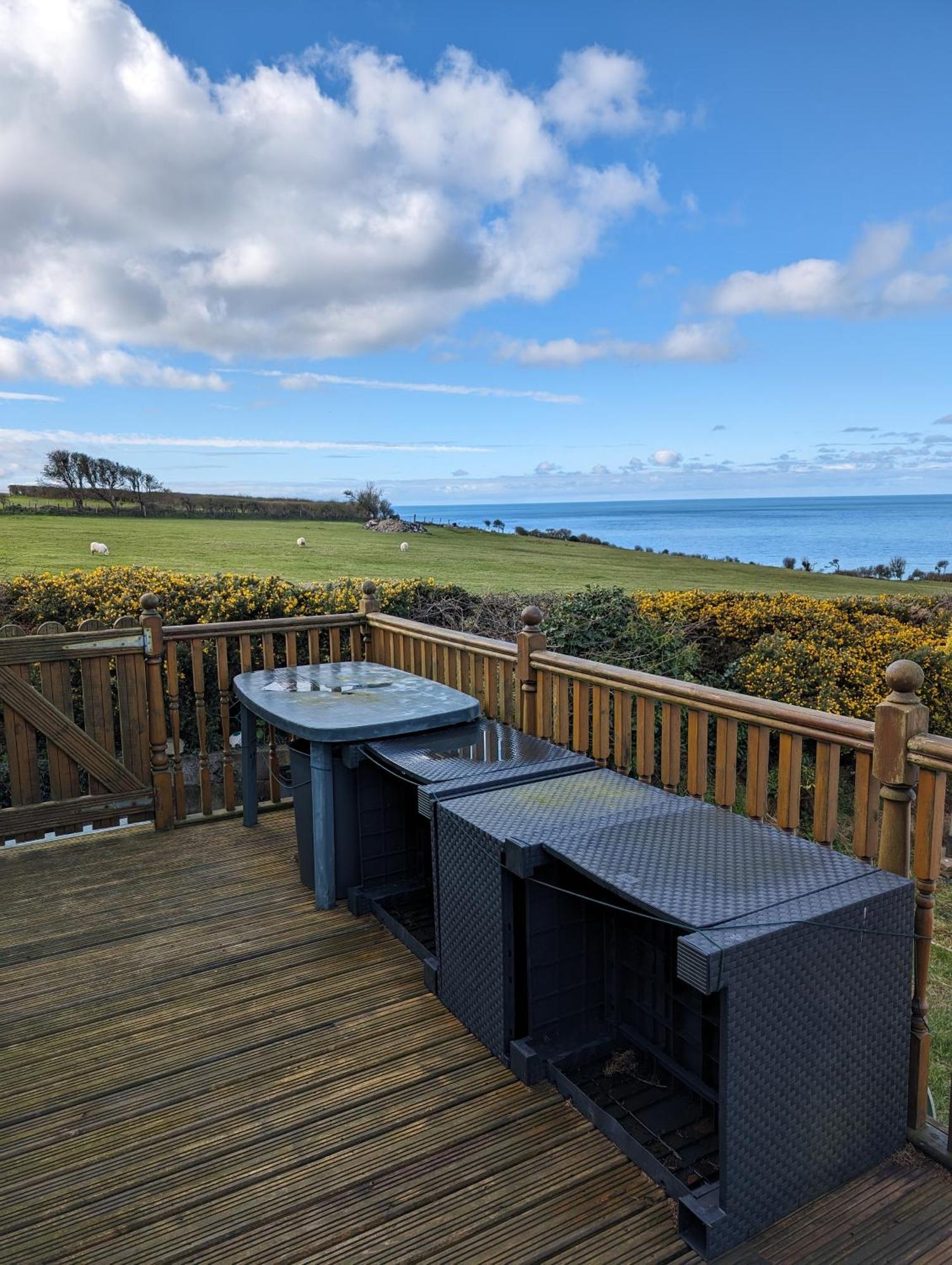 64 Wide Horizon Villa Aberaeron Ngoại thất bức ảnh